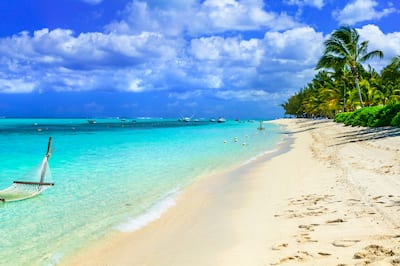 a sandy beach lined with tropical trees beside the sea on a sunny day
