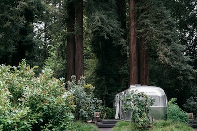 Static home with surrounding bushes and trees